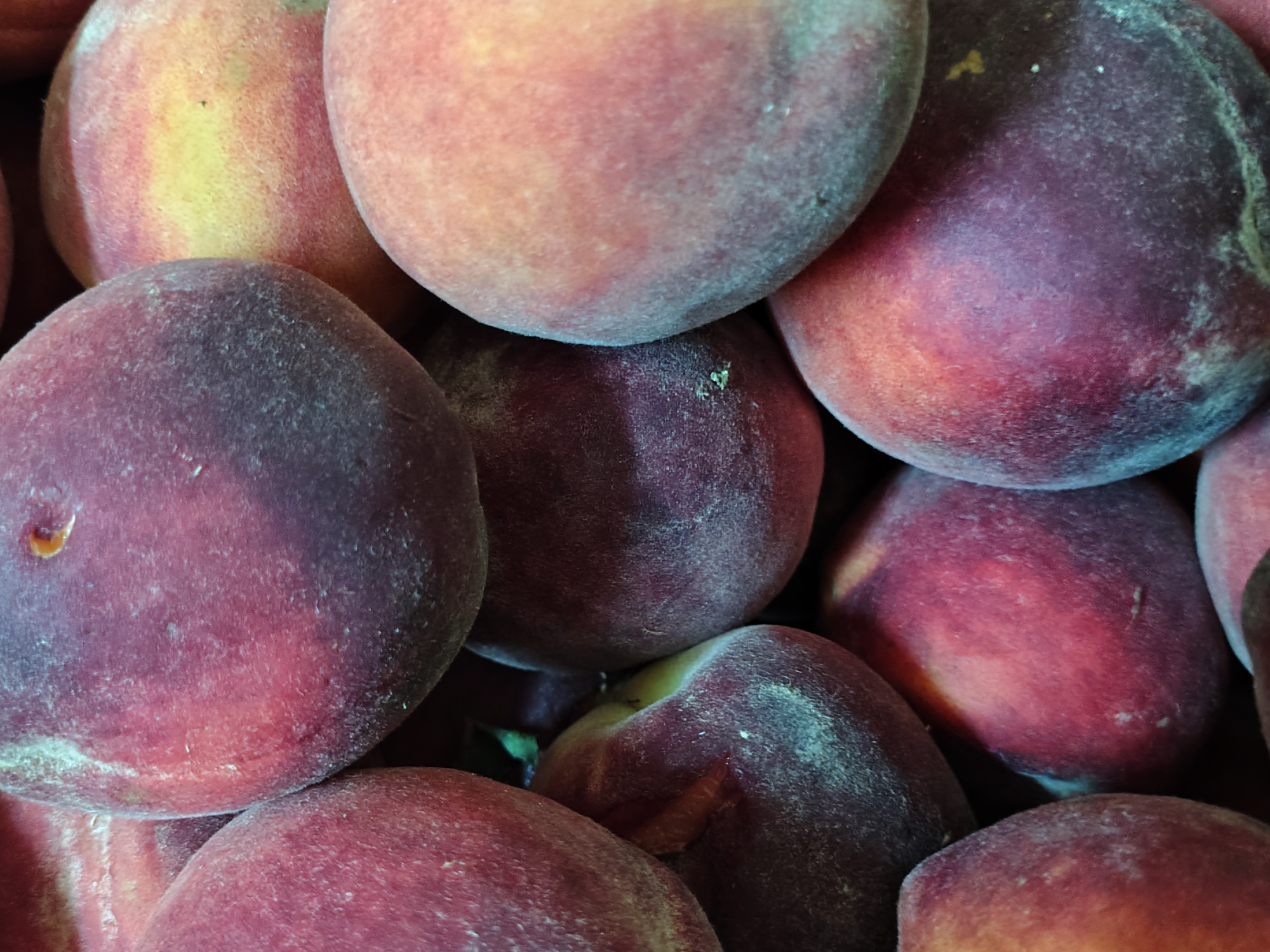 Durazno 🍑 x 2 kilo.