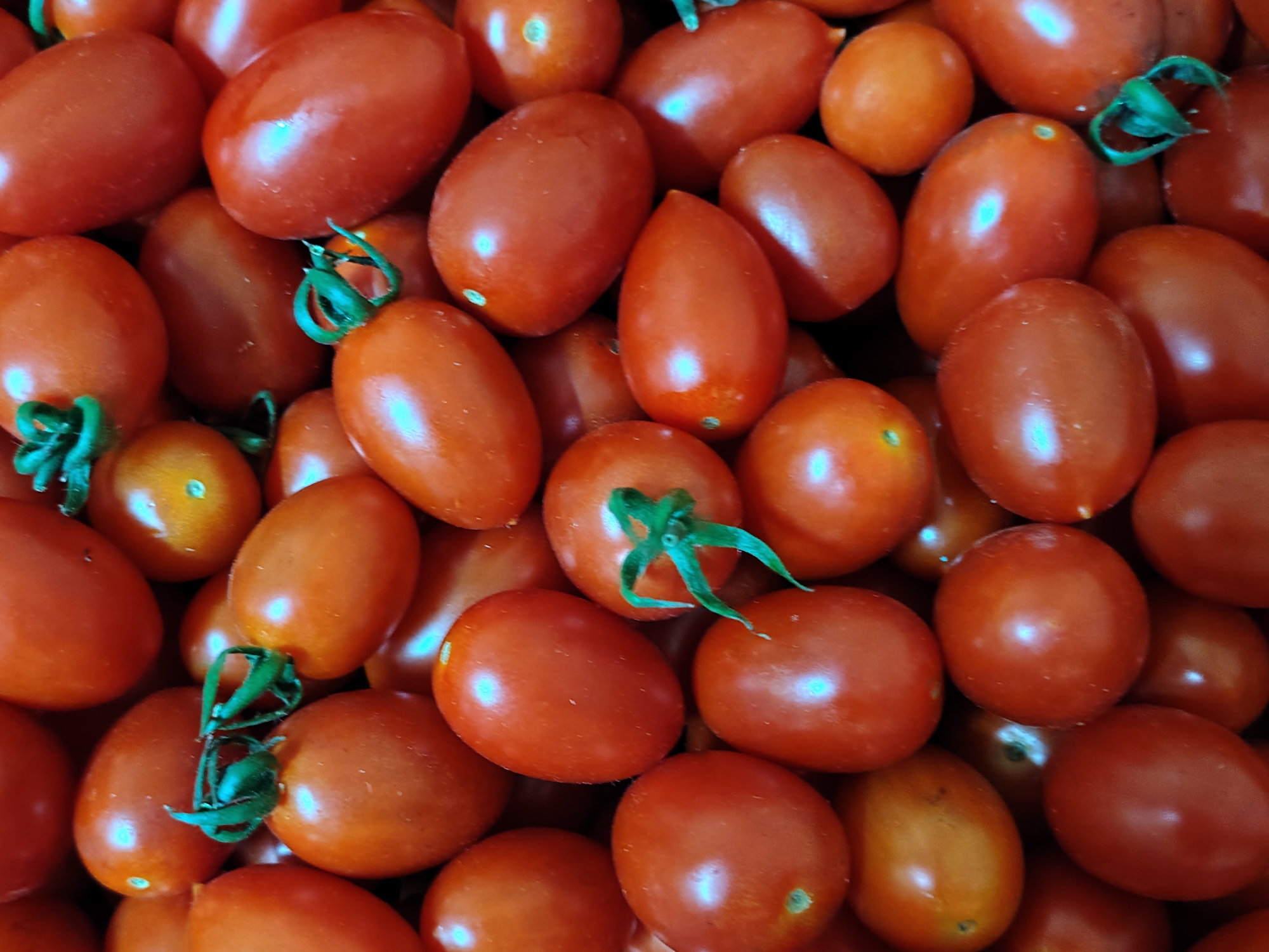 Tomate 🍅 Cherry x 500gs