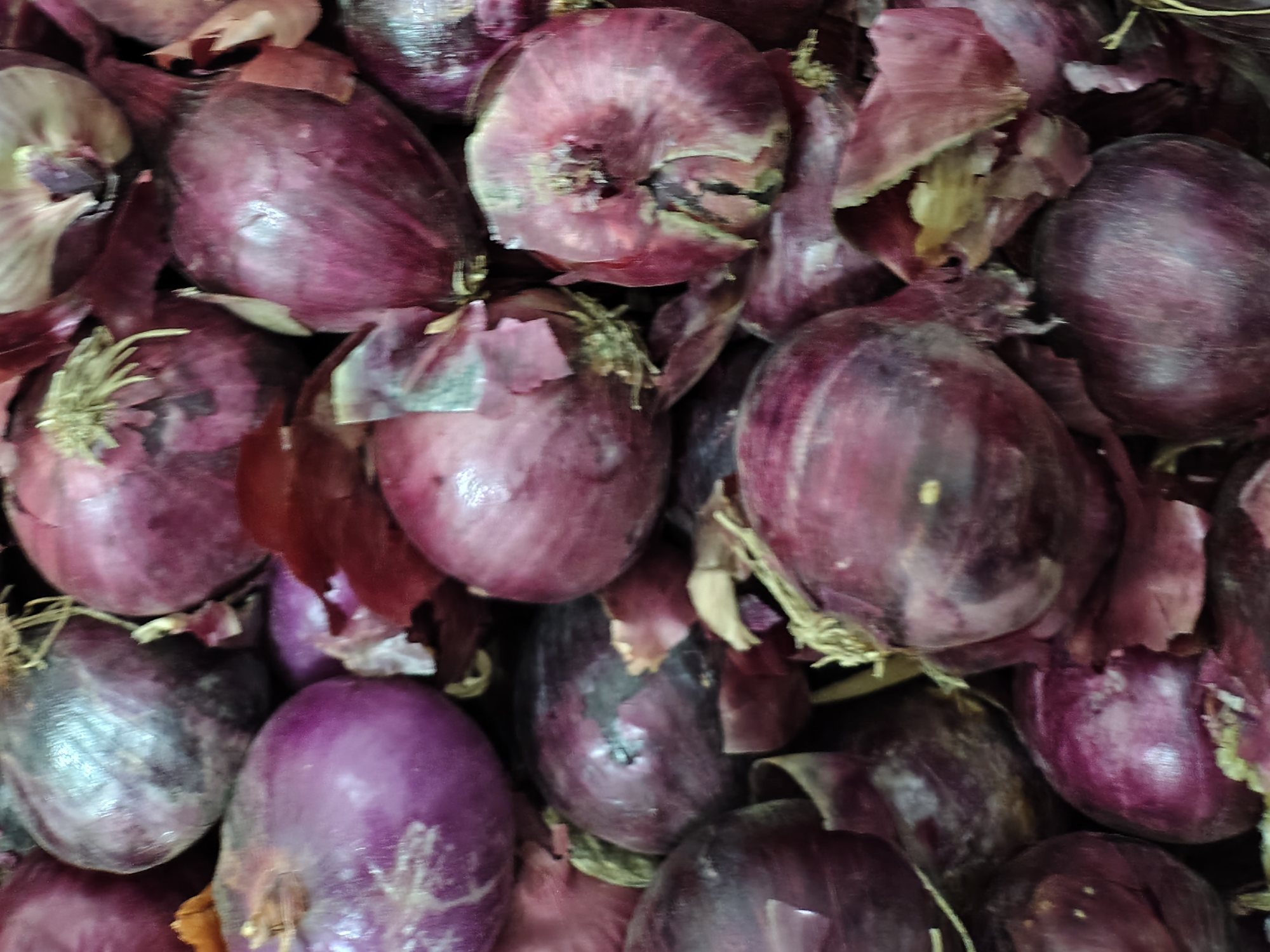 Cebolla morada x 500gs