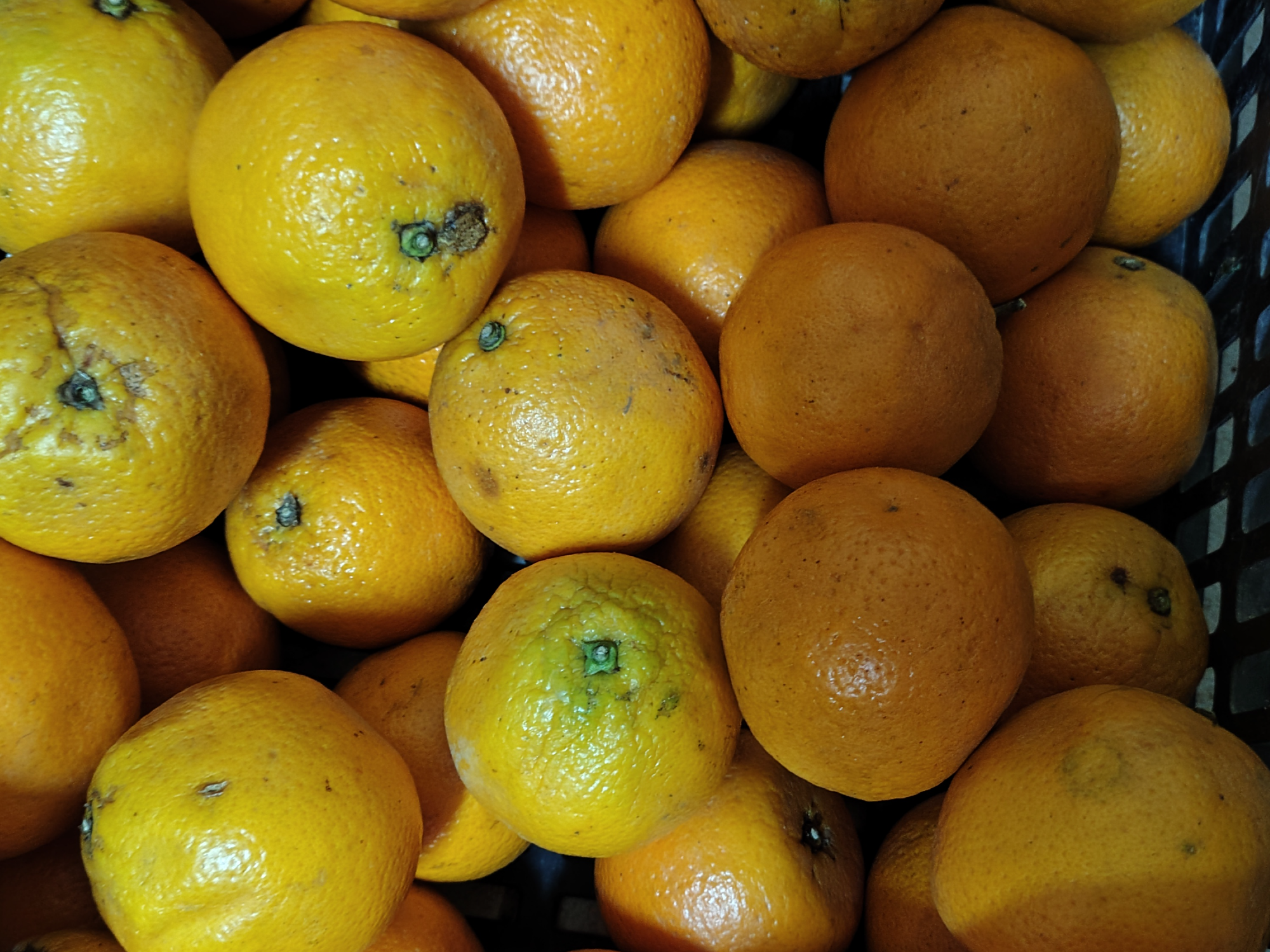 Naranja 🍊 jugo x 500gs