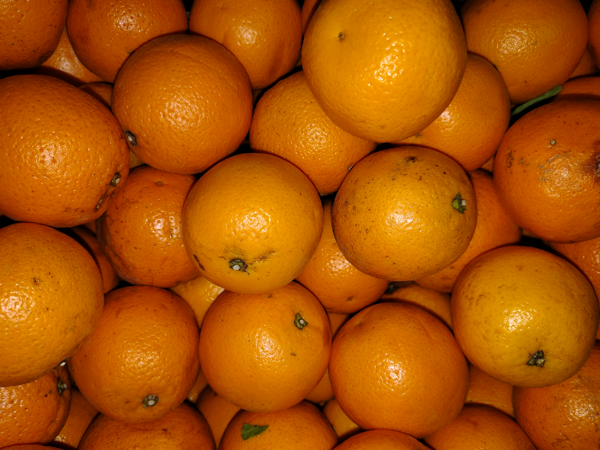 Naranja 🍊 jugo primera x 500gs