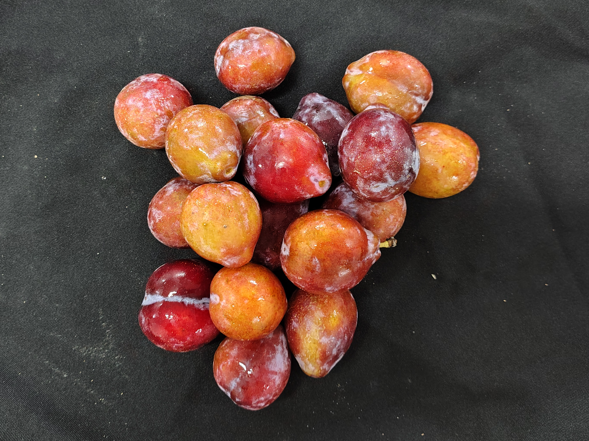 Ciruela gotita de miel x 500gs