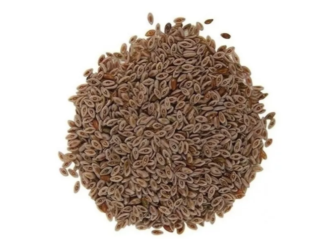 PSYLLIUM