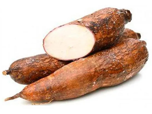 Mandioca