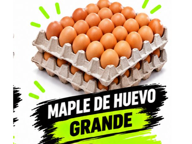 MAPLE 30 HUEVOS GRANDES de Naturalpack