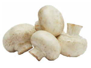 Champignon