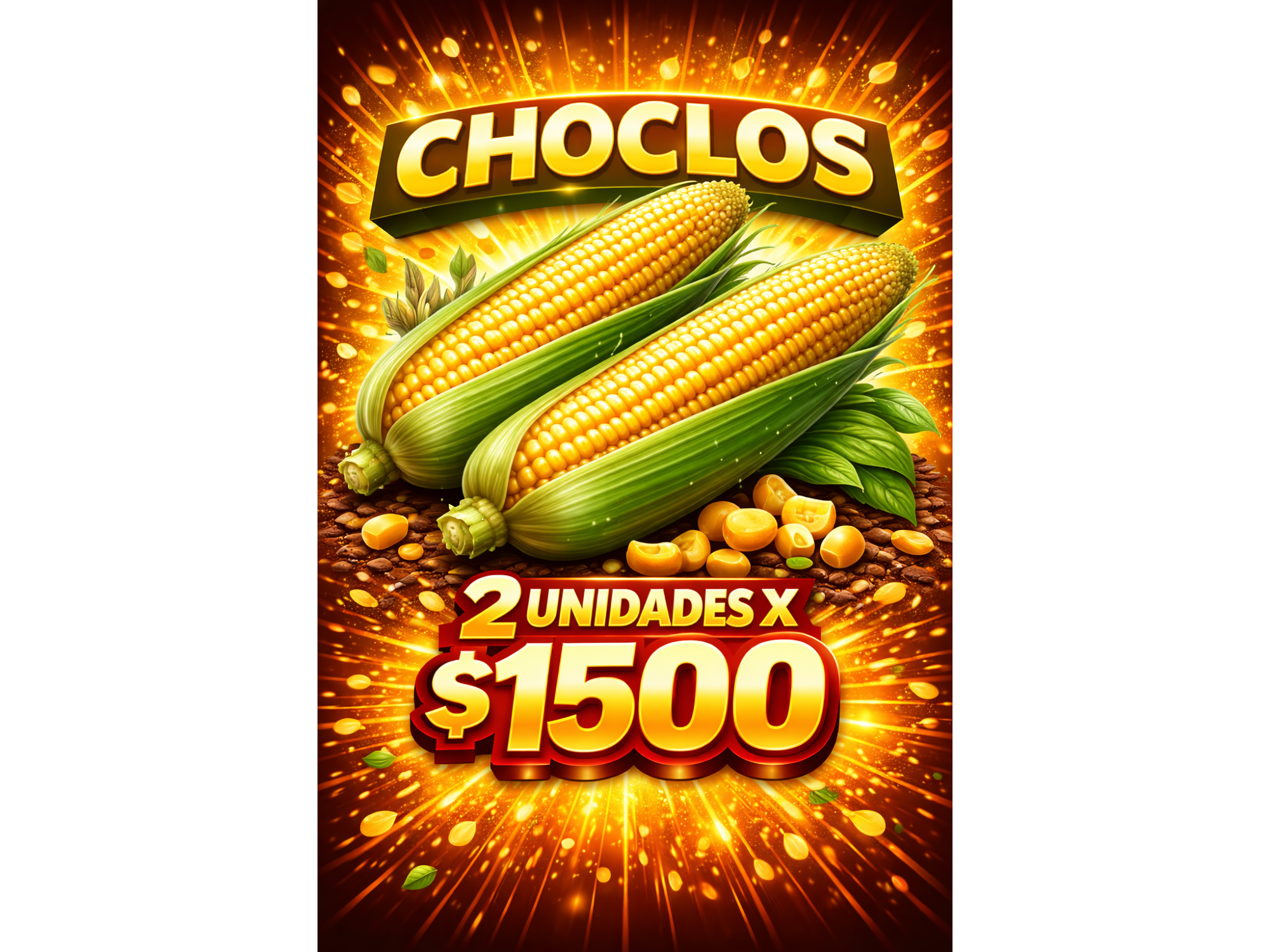 PROMO CHOCOS 2 UNIDADES