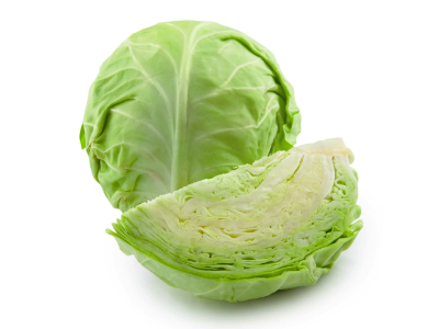 Repollo