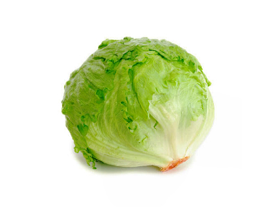Lechuga