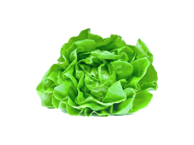 Lechuga