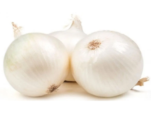Cebolla