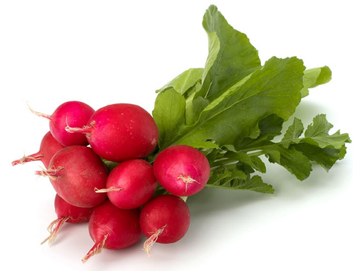 Rabanito