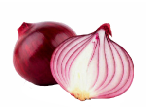 Cebolla
