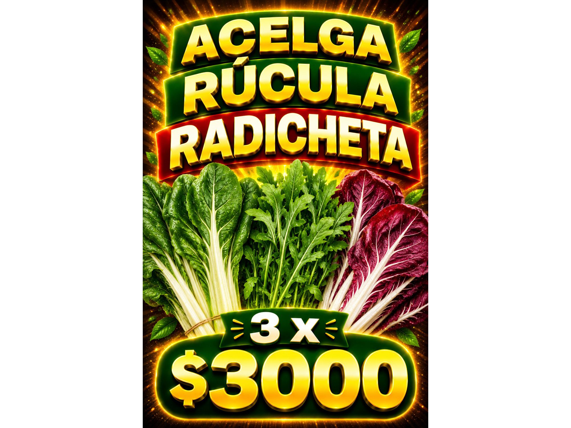 PROMO HORTALIZAS