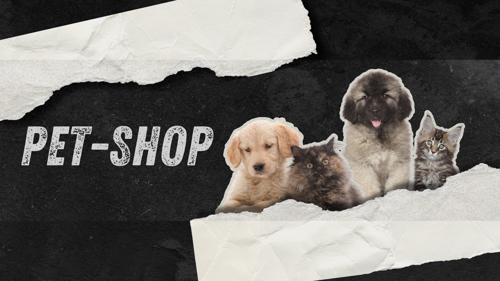 PET SHOP