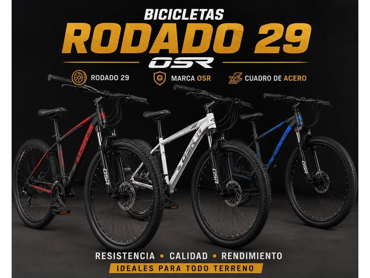 BICICLETA  RODADO 29 HIERRO OSR