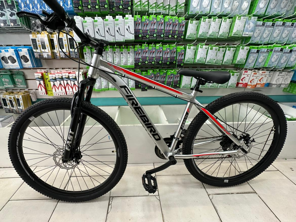 Bicicleta Rodado 29 Fire Bird