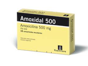 Amoxidal 500