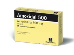 Amoxidal 500