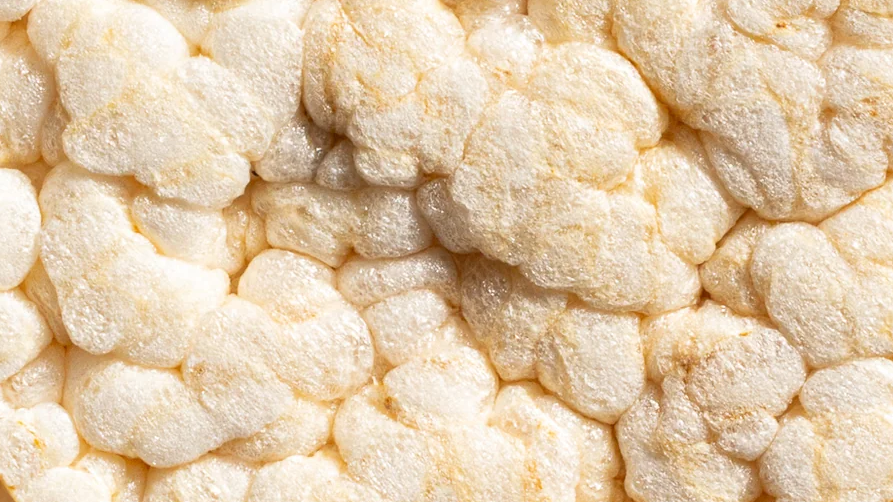 TOSTADAS / GALLETAS DE ARROZ