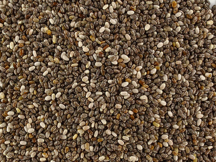 Chia