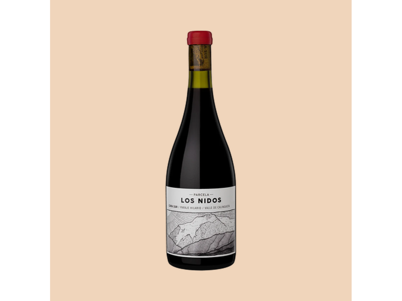 CARA SUR - PARCELA LOS NIDOS BLEND TINTO