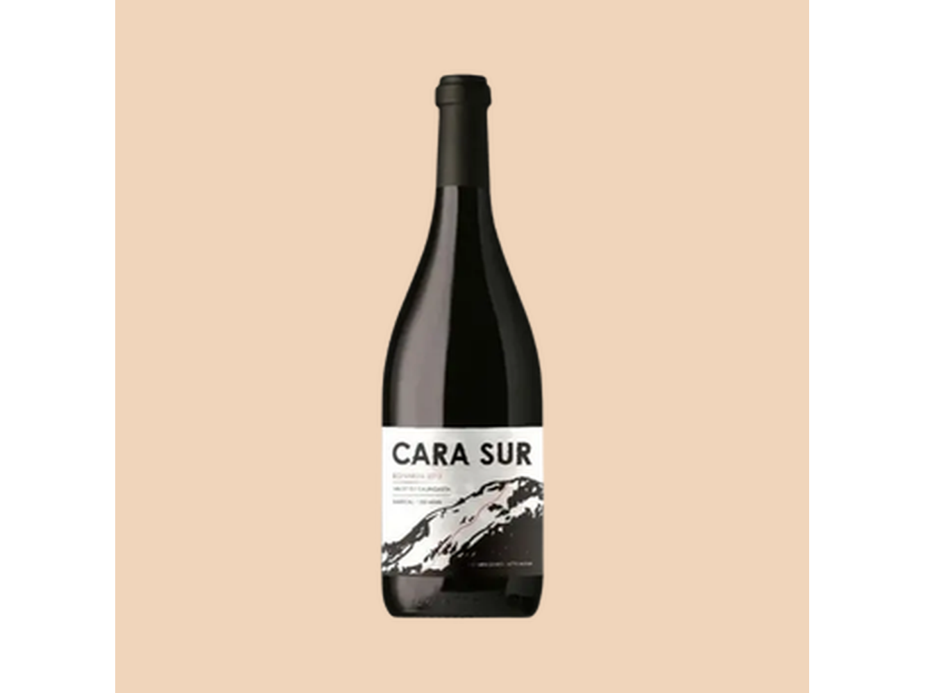 CARA SUR
