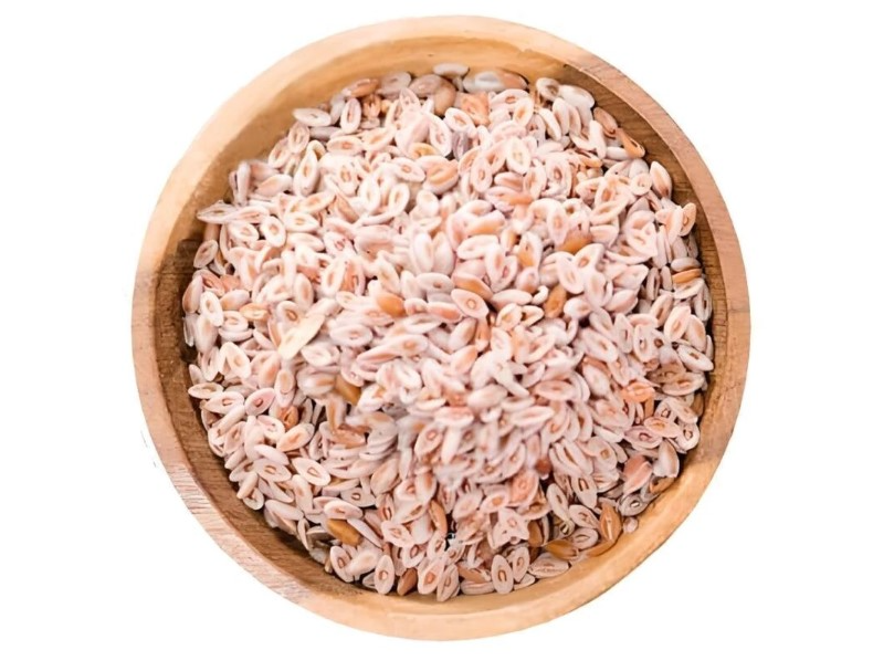 SEMILLAS DE PSYLLIUM