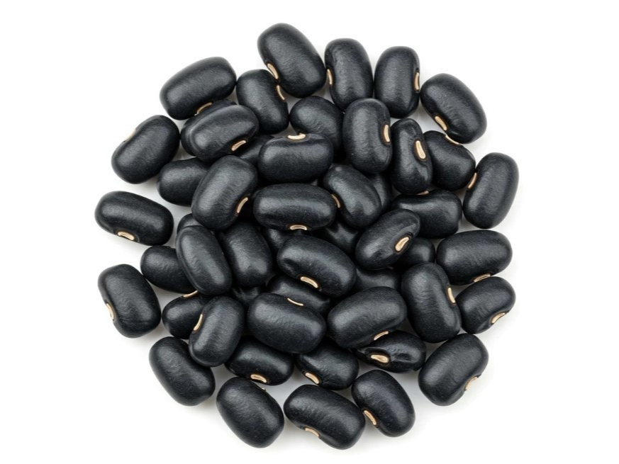 POROTO NEGRO