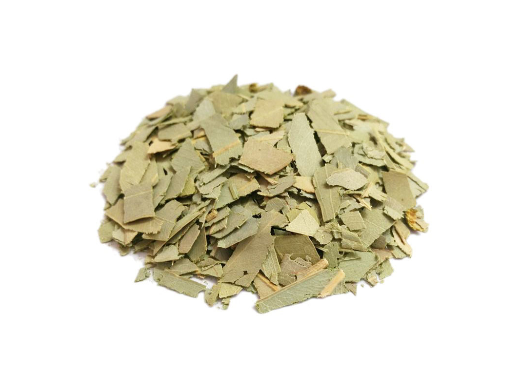 EUCALIPTUS PREMIUM