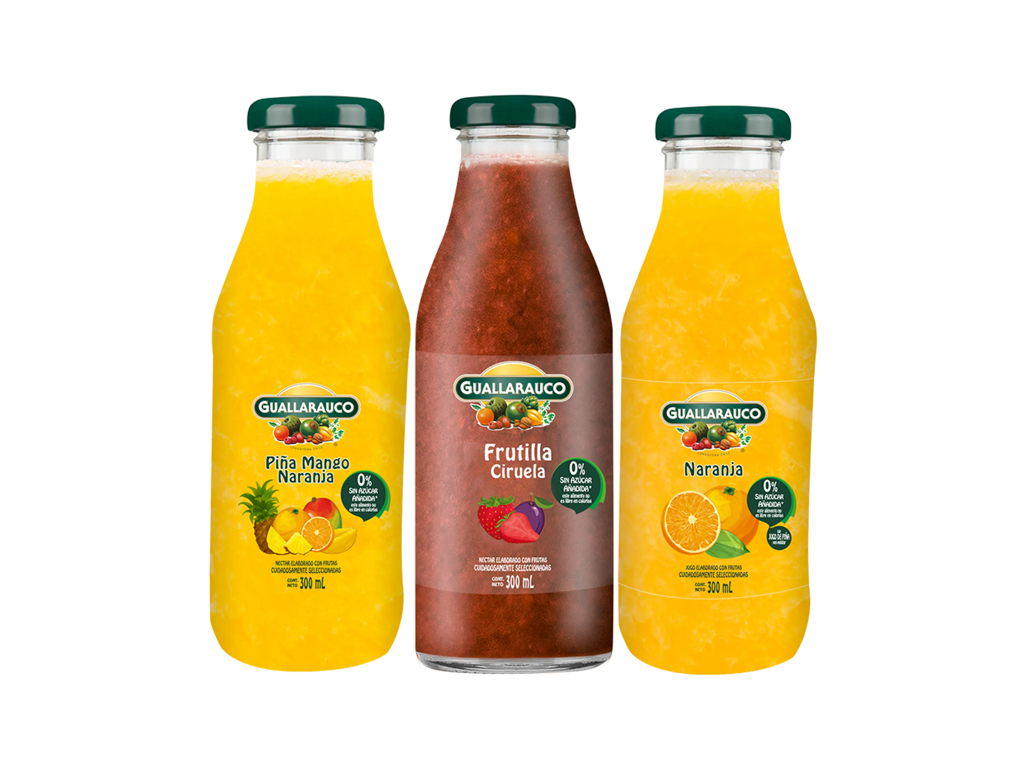 Jugo guayarauco 300ml