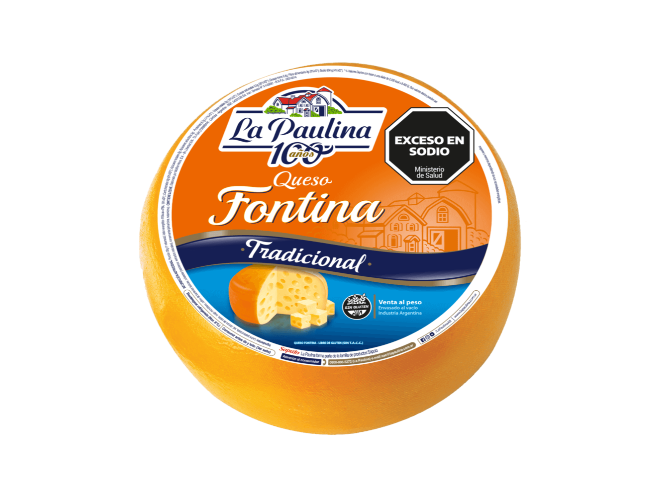 FONTINA