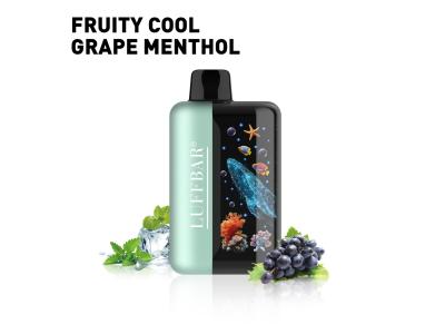 55K PUFF FRUITY COOL GRAPE MENTHOL
