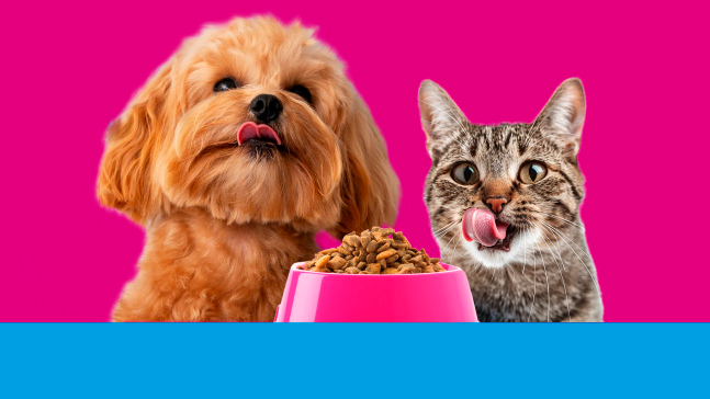 POLÍTICAS SERVICIO A DOMICILIO