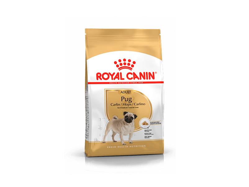 Royal BHN Pug