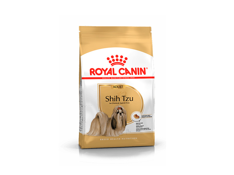 Royal BHN Shih Tzu