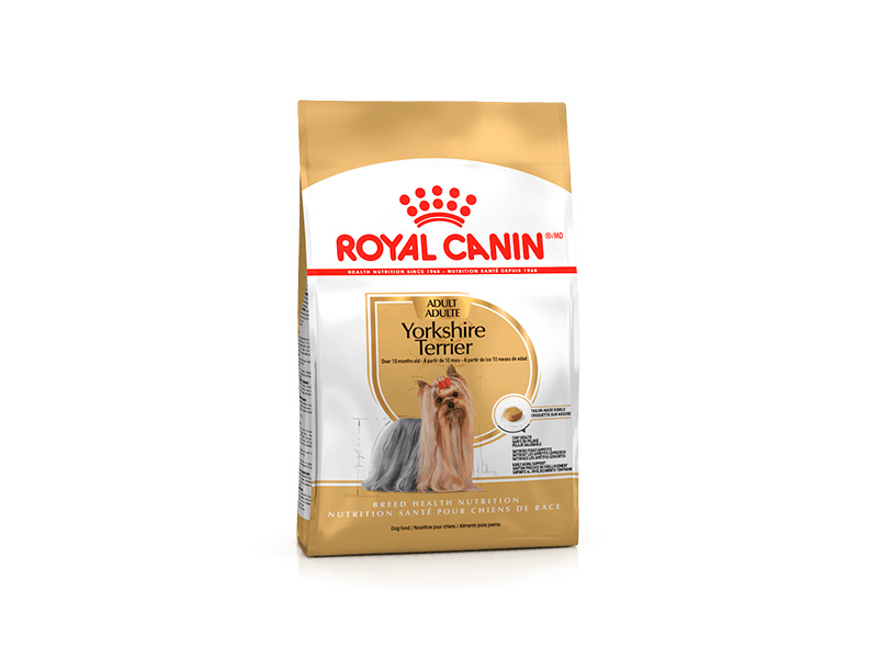 Royal BHN Yorkshire Terrier