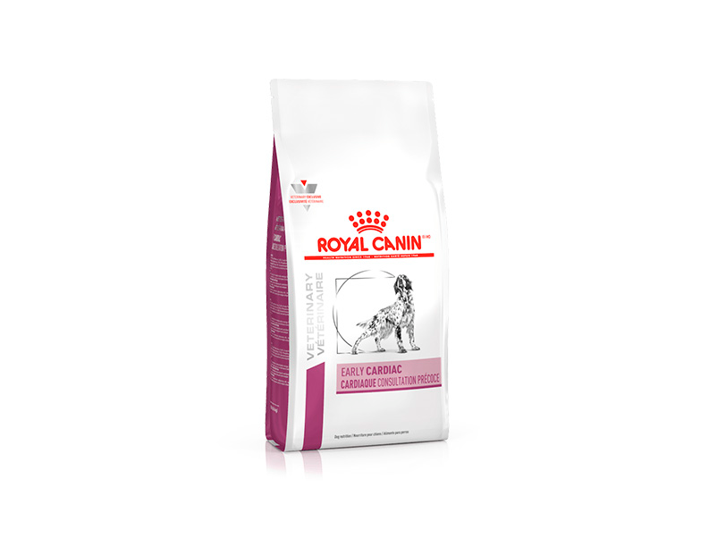 Royal Early Cardiac Canine