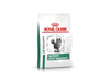Royal Satiety Support Feline