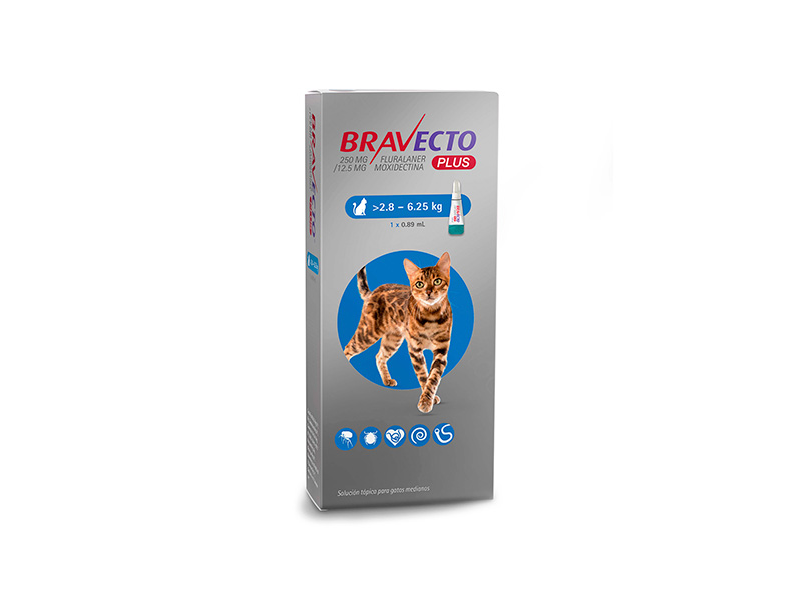 Bravecto Plus 1 Pipeta MSD