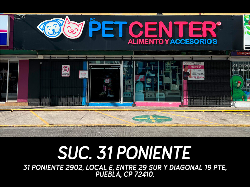 31 PONIENTE