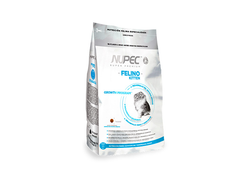 NUPEC Felino Kitten