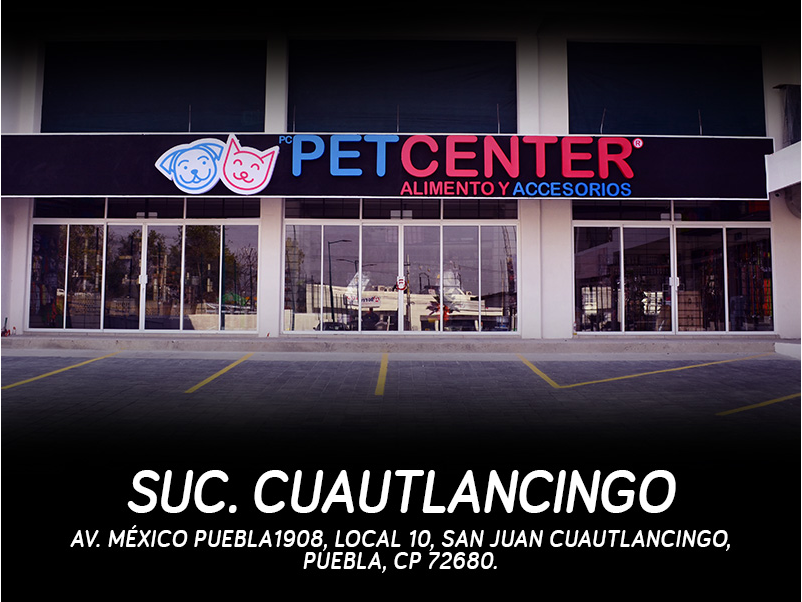 CUAUTLANCINGO
