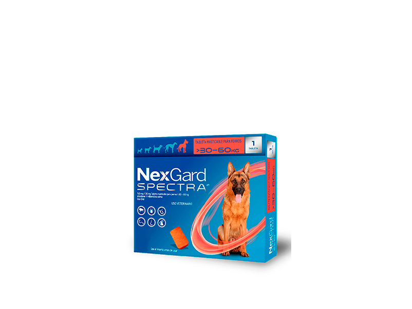 Nexgard Spectra 1 Comprimido Boehringer