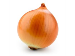 Cebolla