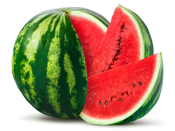 Sandia x2 Kg