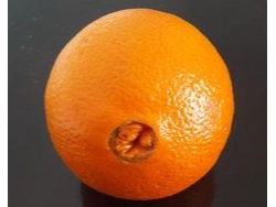 Naranja de Ombligo 1 Kg