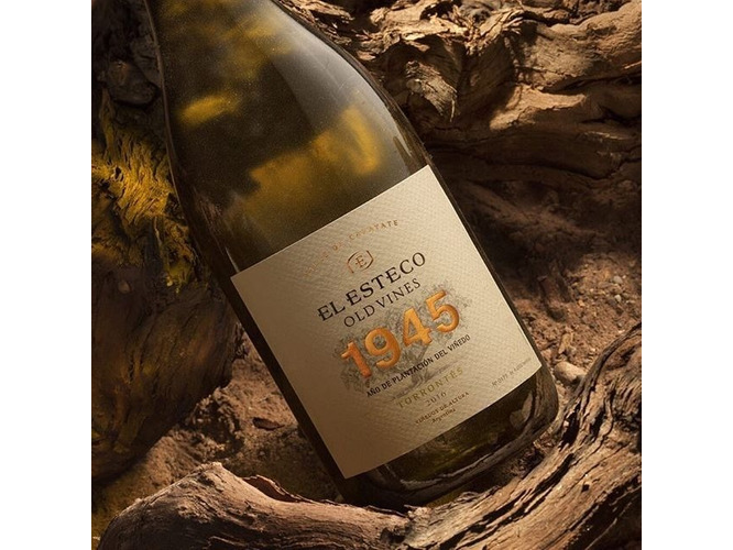 El  Esteco Old Vines Torrontes