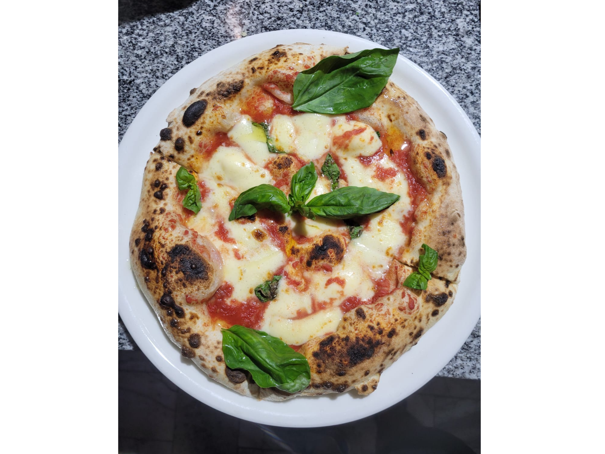 Margherita