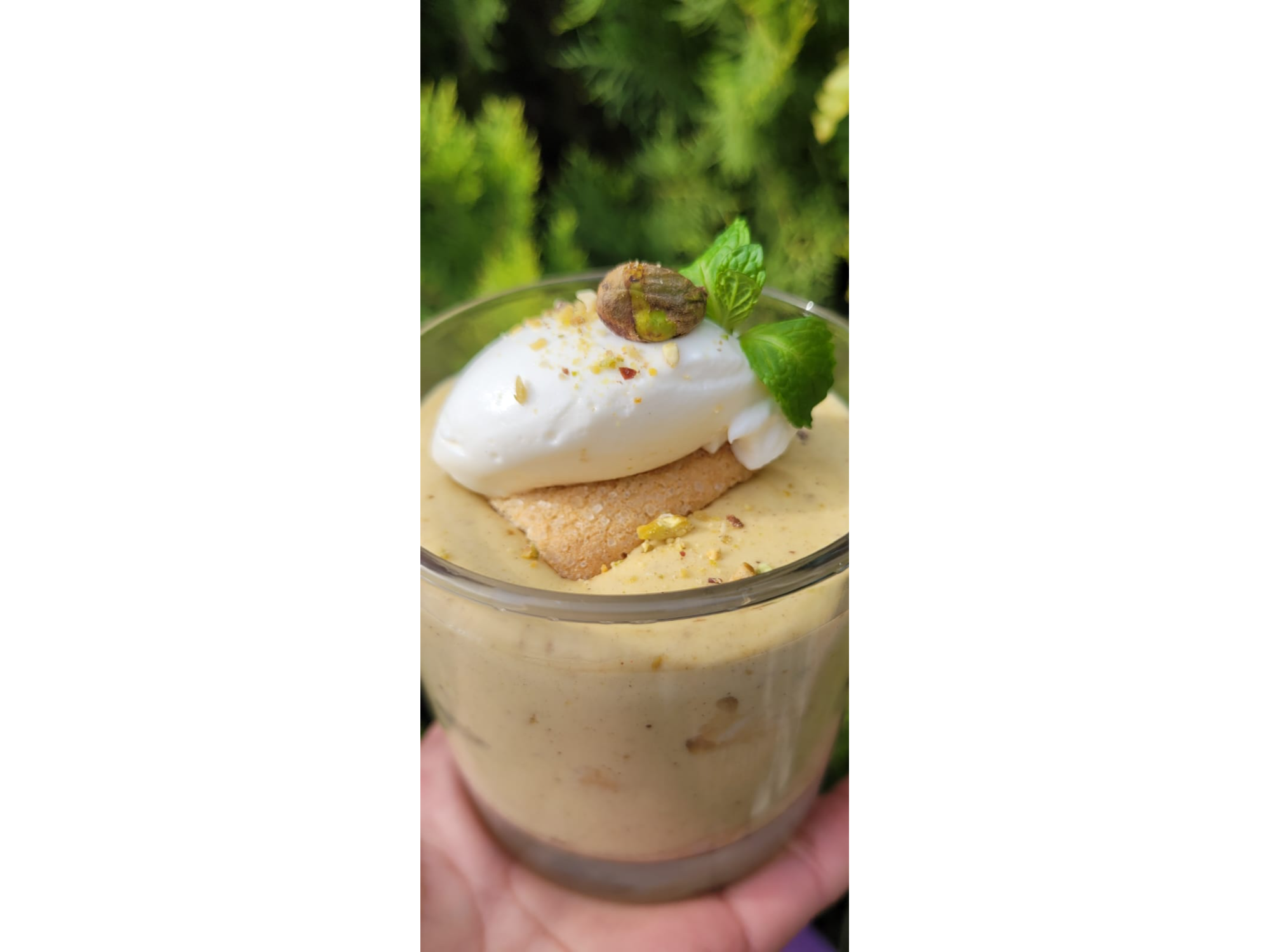 Pistacho Tiramisu